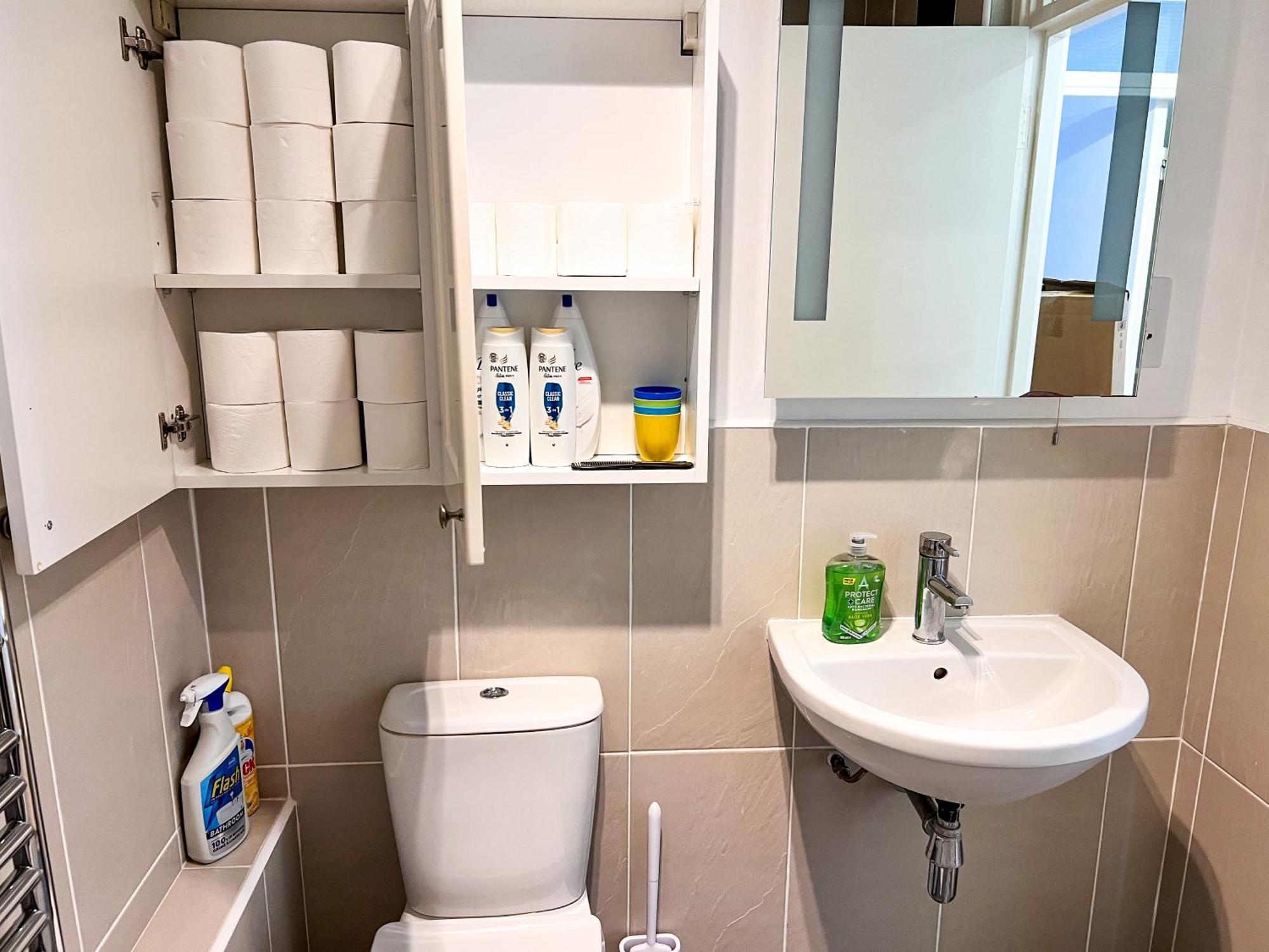 Great River Thames View Entire In The Most Central Apart-hotel Londres
